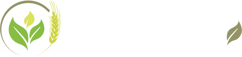 palletdanang.com
