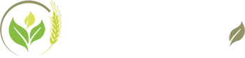 palletdanang.com