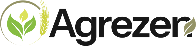 palletdanang.com